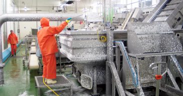 IBR_Industriereinigung_Bild-532